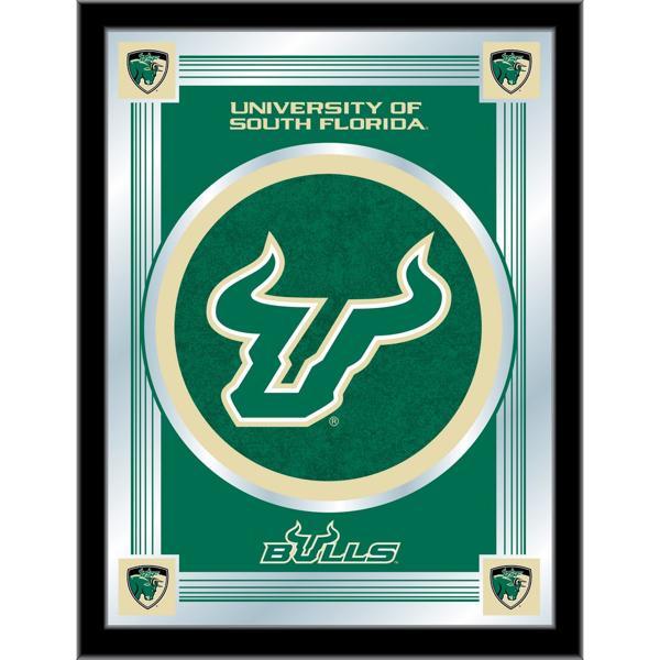 University of South Florida 17" x 22" Logo Wall Mirror - Black Wood Frame - Vibrant Full Color Artwork - Style A 