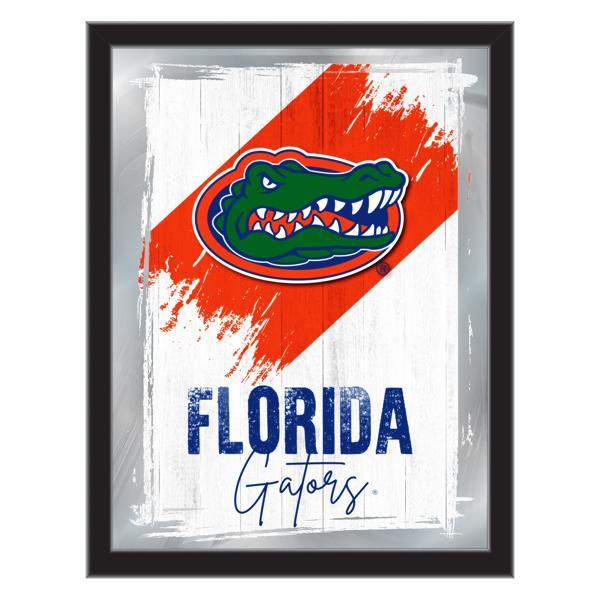University of Florida 17" x 22" Logo Wall Mirror - Black Wood Frame - Vibrant Full Color Artwork - Style B 