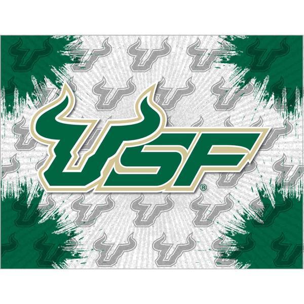 University of South Florida Logo Canvas Wall Art - Durable, Treated Canvas - Solid Wood Stretcher Frame 