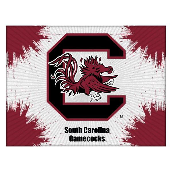 University of South Carolina Logo Canvas Wall Art - Durable, Treated Canvas - Solid Wood Stretcher Frame 