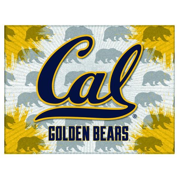 University of California Logo Canvas Wall Art - Durable, Treated Canvas - Solid Wood Stretcher Frame 