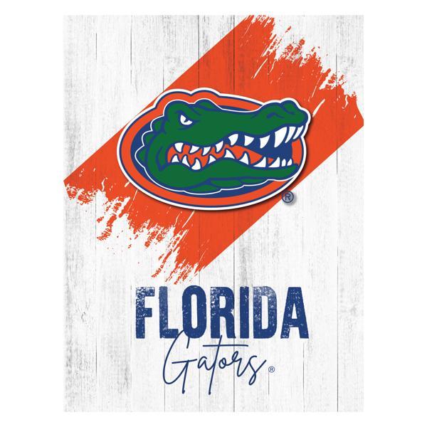 University of Florida Printed Canvas Wall Art - University of Alabama at Birmingham - Durable Treated Canvas 