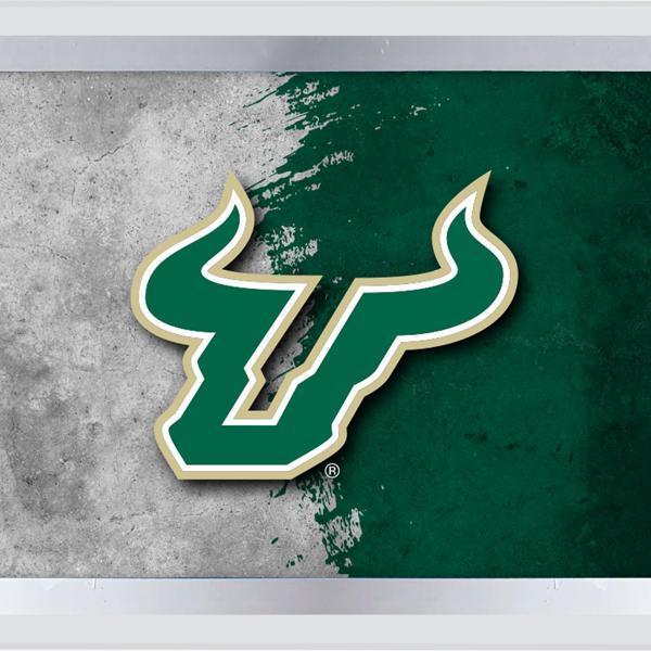 University of South Florida Backlit LED Sign - 14.5" x 12" - Officially Licensed - Vibrant Full Color Artwork 